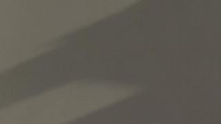 Grey Expo 3CM 55x120