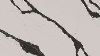 Unique Calacatta Black