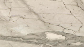 CALACATTA CREMO HONED