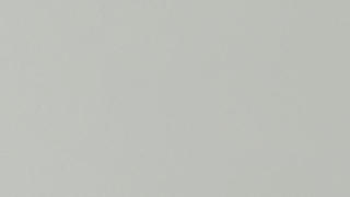 Quartz Celador Bianco