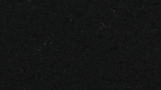 Black Pearl - Antique