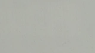 Q Quartz Carrara Marmi
