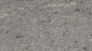 Viscount White (P/L)