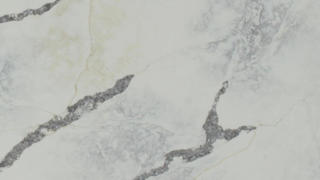 Vadara Sakura
