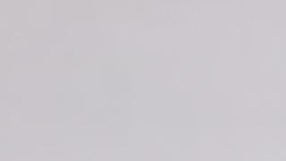 White Zeus Extreme (Suede)