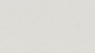 Calacatta Vicenza Matte*