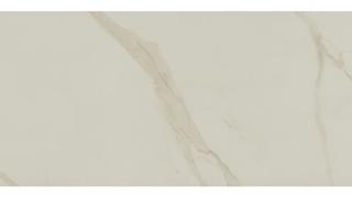 Calacatta Oro Venato