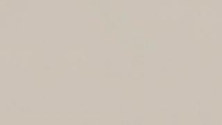 Misty Carrera | 4141