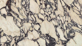 CALACATTA VIOLA EXTRA HONED
