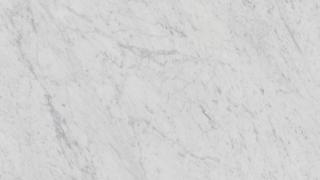 white carrara