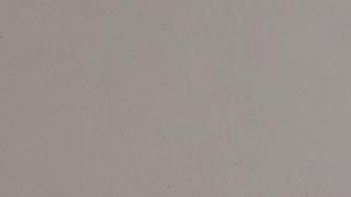 Lime Delight (Suede)