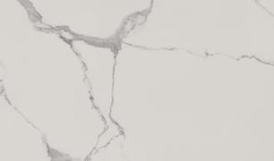 Statuario Venato Matte