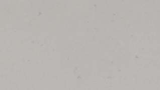 Misty Carrera (4141)