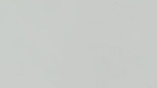 Pental Quartz Super White