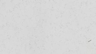 Q Blanca Statuarietto