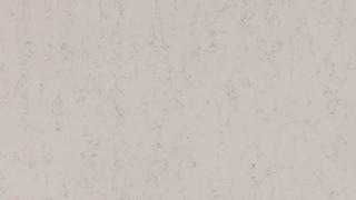 SSWHAR White Arabesque