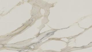 Calacatta Supreme B