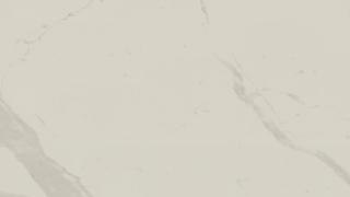 Bianco Statuario Venato