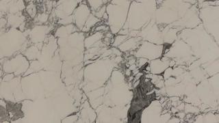 Statuario Corchia (H)