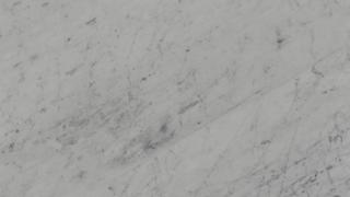 Carrara White