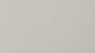 Snow Flurry 2CM 55x120