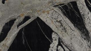 Maori Quartzite Countertops