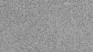 PULTE Scalea Majestic White