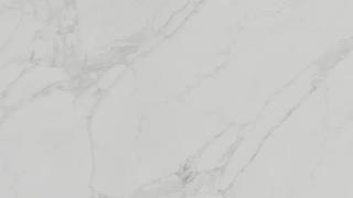 Quartz Arabescato Honed