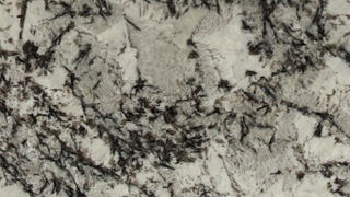 Delicatus White