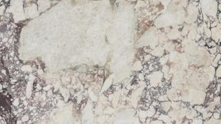 Calacatta Viola Extra