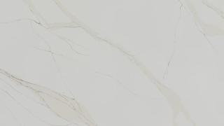 Unique Calacatta Gold