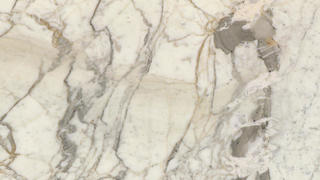 CALACATTA VENATO VAGLI