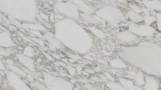 Calacatta Vagli Honed