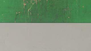 Desert Silver (P)(J) 3cm