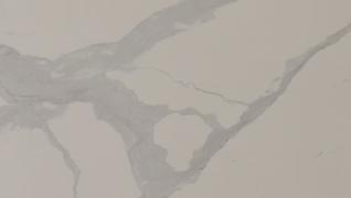 Bianco Statuario Venato