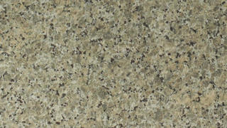 Butterfly Beige
