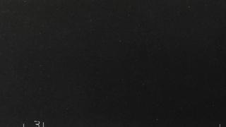 Bellemonte 3CM 63x130