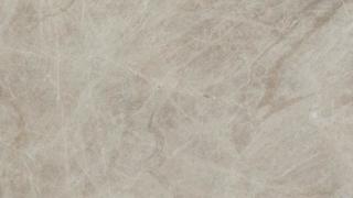 Taj Mahal Premium Extra