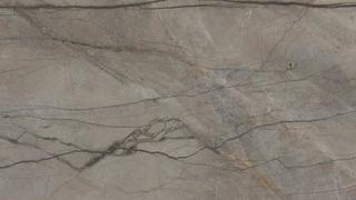 Silver Roots HONED- PREMIUM