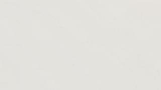 Palm Shade Honed | 515