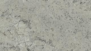 White Stellar Leather