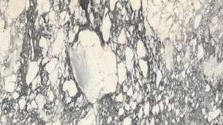 CALACATTA CORCHIA HONED