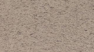 White Ornamental 3cm