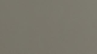 Grey Expo