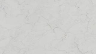 Q Calacatta Fioressa