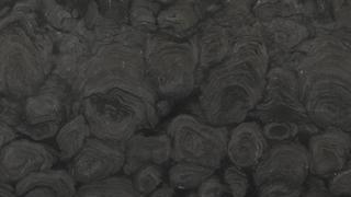 Nocturn Black Leathered